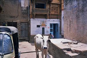 Jaisalmer - Soul India