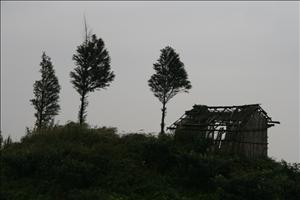 IMG_1341resized.JPG