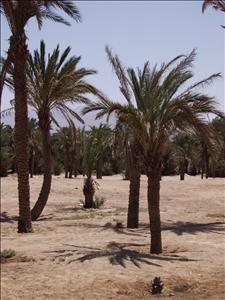 Aqaba  © Fernando López