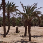 Aqaba  © Fernando López