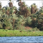 Rieke_felucca_IMG_0843.JPG