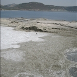 nuovo 041.jpg