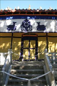 IMG_4637resized.JPG