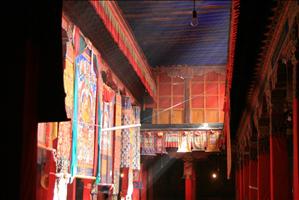 IMG_4707resized.JPG
