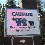 kenai lake 011.JPG
