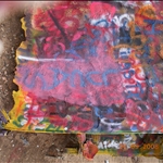 DSCN0306.JPG
