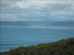 View of the Beach