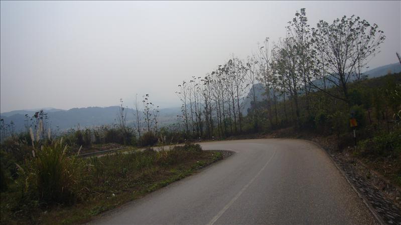 P1030011.JPG