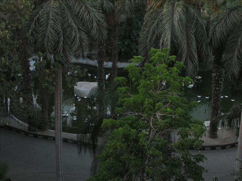 Rieke_hotelview_IMG_0268.JPG