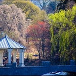 piedmont parks