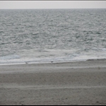 The wind was blowing so hard and it was FREEZING!!