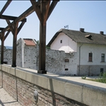nuovo 137.jpg