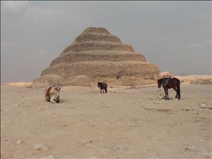 3000 years old give or take a few hundred