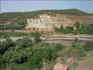 P4230542.JPG