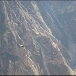 Peru 359.jpg