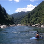 The Buller