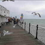 Brighton July 2009