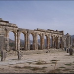 VOLUBILIS