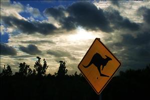 Roo sign - Nambung National Park.