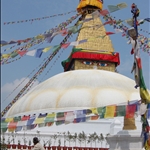 Lily Grant(Kathmandu 