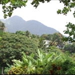 Nature Island review