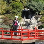 Waterfall in  Japanese Gardens