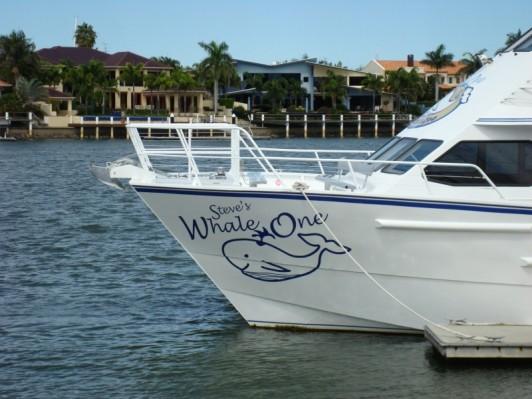 Steve Irwin's Whale Watching Boat.