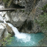 白杨步道