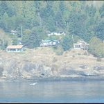 686.JPG