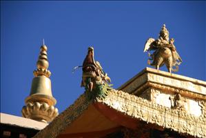 IMG_4610resized.JPG