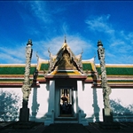  Sunday morning at Watarun