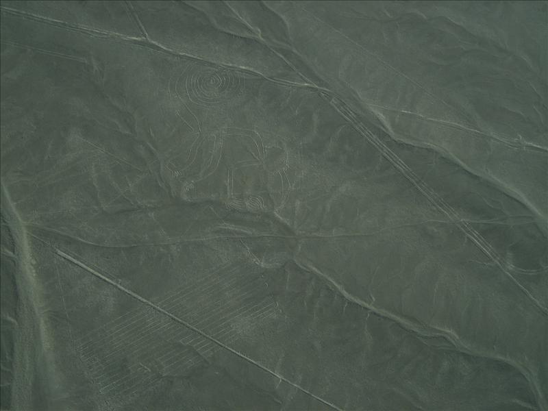 Nasca lines-Monkey.jpg