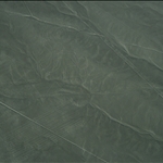 Nasca lines-Monkey.jpg