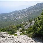 IMG_0014.JPG