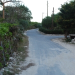 DSC_4265.JPG