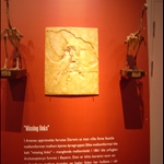 R0012521.JPG