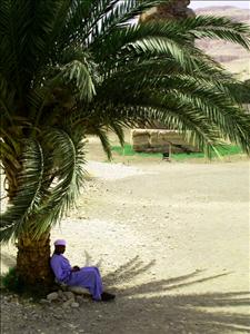 Shade (Egypt)