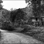 Mai Chau