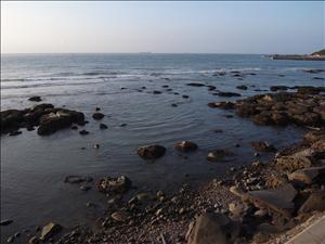 R0012444.jpg