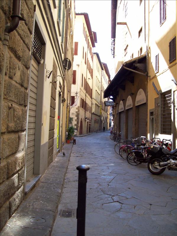 100_0009.JPG