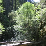 IMG_0203.JPG