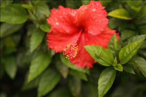 IMG_8252.JPG