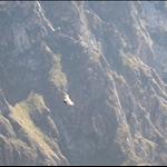 Peru 363.jpg