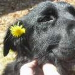 spring 096.JPG
