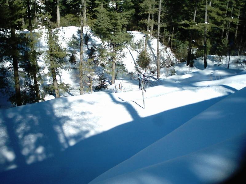 0205_0011.jpg
