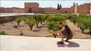 navigating the orange grove