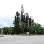Botanical Garden