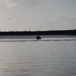 DSC_4254.JPG