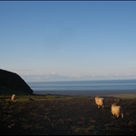 Island2008 998.jpg
