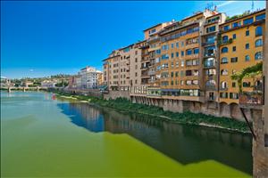 IMG_7987.jpg